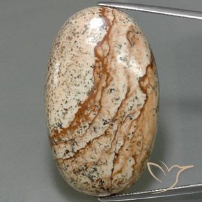 56.03ct طبيعي متعدد الألوان يشب أو جاسبر, بيضوي, غير شفاف