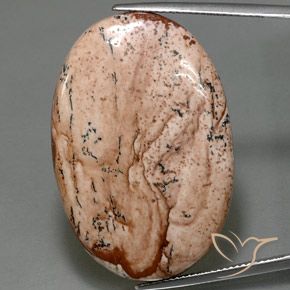 40.50ct طبيعي متعدد الألوان يشب أو جاسبر, بيضوي, غير شفاف