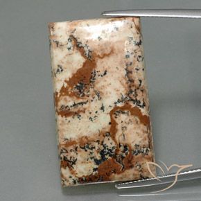 26.28ct طبيعي متعدد الألوان يشب أو جاسبر, باجيت, غير شفاف