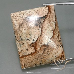 32.44ct طبيعي متعدد الألوان يشب أو جاسبر, باجيت, غير شفاف