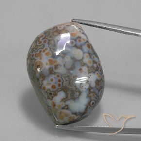 45.73ct طبيعي متعدد الألوان يشب أو جاسبر, فانسى, غير شفاف