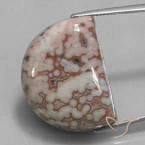 35.32ct طبيعي متعدد الألوان يشب أو جاسبر, فانسى, غير شفاف