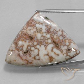48.51ct طبيعي متعدد الألوان يشب أو جاسبر, مثلثى, غير شفاف
