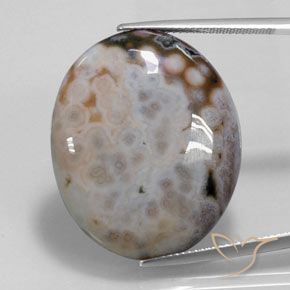 36.14ct طبيعي متعدد الألوان يشب أو جاسبر, بيضوي, غير شفاف