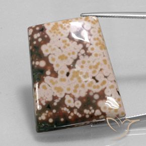 65.30ct طبيعي متعدد الألوان يشب أو جاسبر, فانسى, غير شفاف