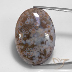 43.68ct طبيعي متعدد الألوان يشب أو جاسبر, بيضوي, غير شفاف