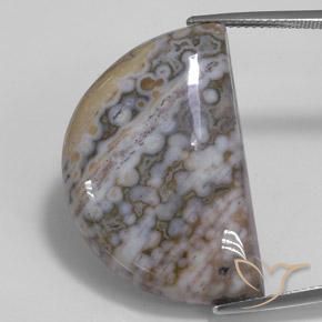 30.93ct طبيعي متعدد الألوان يشب أو جاسبر, فانسى, غير شفاف