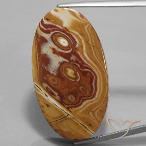 34.73ct طبيعي متعدد الألوان يشب أو جاسبر, بيضوي, غير شفاف