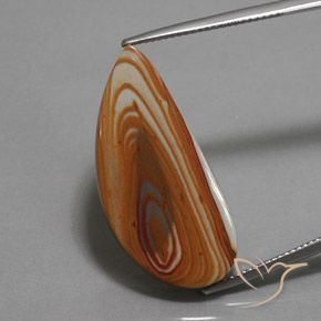 16.24ct طبيعي متعدد الألوان يشب أو جاسبر, فانسى, غير شفاف