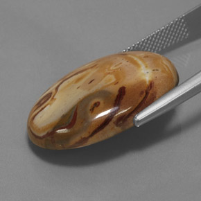 يشب أو جاسبر متعدد الألوان طبيعي، قصة بيضاوى، 19.06 قيراط، غير شفاف