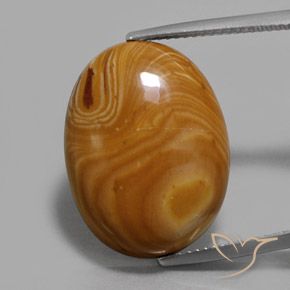 13.26ct طبيعي متعدد الألوان يشب أو جاسبر, بيضوي, غير شفاف