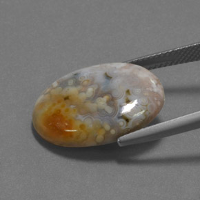 يشب أو جاسبر متعدد الألوان طبيعي، قصة بيضاوى، 12.16 قيراط، غير شفاف