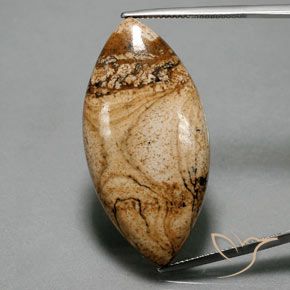 41.94ct طبيعي متعدد الألوان يشب أو جاسبر, ماركيز, غير شفاف
