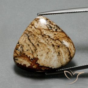 24.75ct طبيعي متعدد الألوان يشب أو جاسبر, شكل الكمثرى, غير شفاف