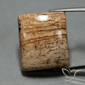 32.30ct طبيعي متعدد الألوان يشب أو جاسبر, باجيت, غير شفاف