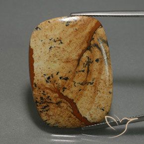 27.74ct طبيعي متعدد الألوان يشب أو جاسبر, وسادة, غير شفاف