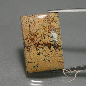 25.27ct طبيعي متعدد الألوان يشب أو جاسبر, باجيت, غير شفاف