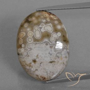 12.72ct طبيعي متعدد الألوان يشب أو جاسبر, بيضوي, غير شفاف