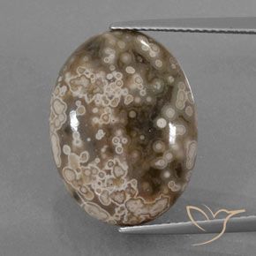 13.00ct طبيعي متعدد الألوان يشب أو جاسبر, بيضوي, غير شفاف