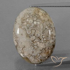 12.43ct طبيعي متعدد الألوان يشب أو جاسبر, بيضوي, غير شفاف