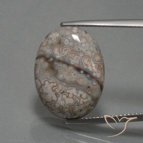 12.39ct طبيعي متعدد الألوان يشب أو جاسبر, بيضوي, غير شفاف