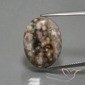 12.87ct طبيعي متعدد الألوان يشب أو جاسبر, بيضوي, غير شفاف
