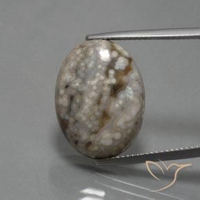 14.48ct طبيعي متعدد الألوان يشب أو جاسبر, بيضوي, غير شفاف