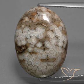 14.70ct طبيعي متعدد الألوان يشب أو جاسبر, بيضوي, غير شفاف