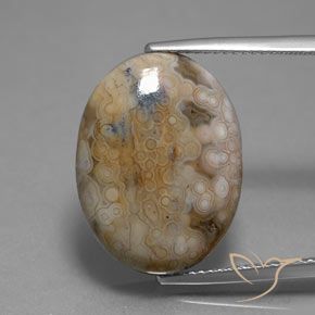 13.80ct طبيعي متعدد الألوان يشب أو جاسبر, بيضوي, غير شفاف