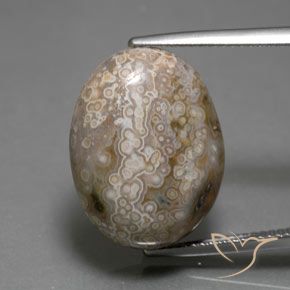 15.26ct طبيعي متعدد الألوان يشب أو جاسبر, بيضوي, غير شفاف