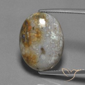 13.45ct طبيعي متعدد الألوان يشب أو جاسبر, بيضوي, غير شفاف
