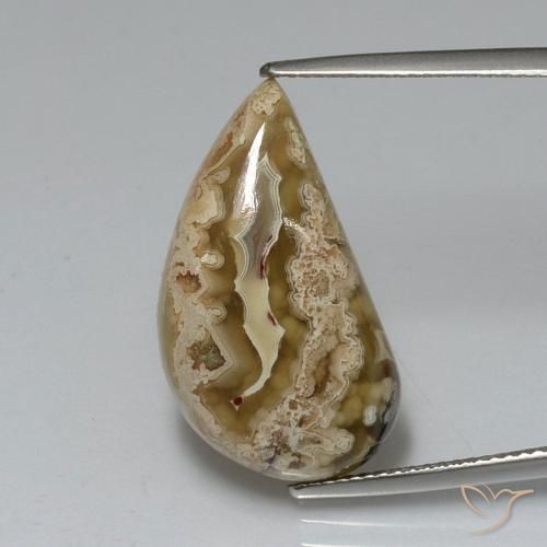 11.24ct طبيعي متعدد الألوان يشب أو جاسبر, فانسى, غير شفاف