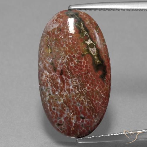9.98ct طبيعي متعدد الألوان يشب أو جاسبر, بيضوي, غير شفاف