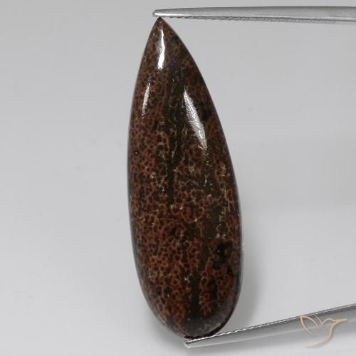 12.43ct طبيعي متعدد الألوان يشب أو جاسبر, شكل الكمثرى, غير شفاف