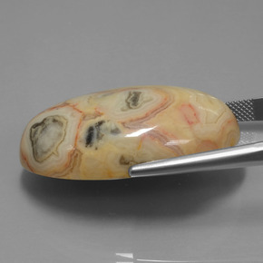 يشب أو جاسبر متعدد الألوان طبيعي، قصة بيضاوى، 62.14 قيراط، غير شفاف