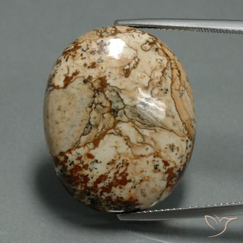 30.15ct طبيعي متعدد الألوان يشب أو جاسبر, بيضوي, غير شفاف