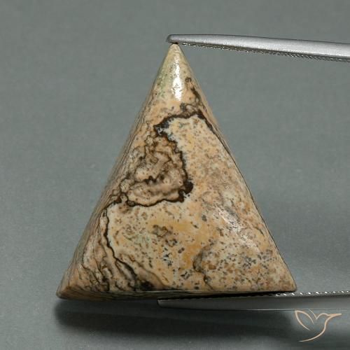 24.08ct طبيعي متعدد الألوان يشب أو جاسبر, مثلثى, غير شفاف