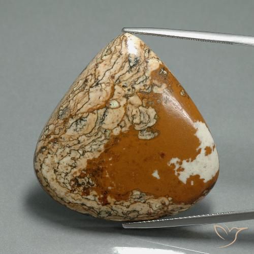 50.96ct طبيعي متعدد الألوان يشب أو جاسبر, شكل الكمثرى, غير شفاف