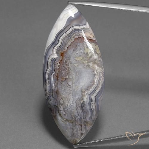 31.90ct طبيعي متعدد الألوان يشب أو جاسبر, ماركيز, غير شفاف