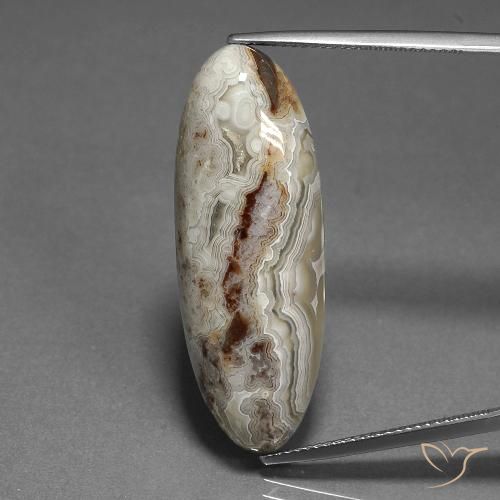 23.27ct طبيعي متعدد الألوان يشب أو جاسبر, بيضوي, غير شفاف