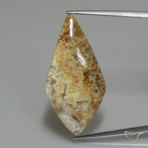 14.89ct طبيعي متعدد الألوان يشب أو جاسبر, فانسى, غير شفاف