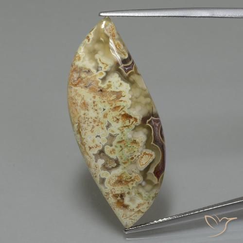 18.71ct طبيعي متعدد الألوان يشب أو جاسبر, فانسى, غير شفاف