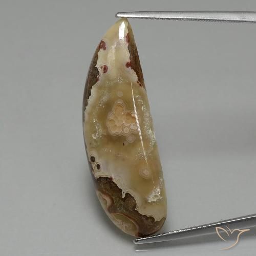 14.43ct طبيعي متعدد الألوان يشب أو جاسبر, فانسى, غير شفاف