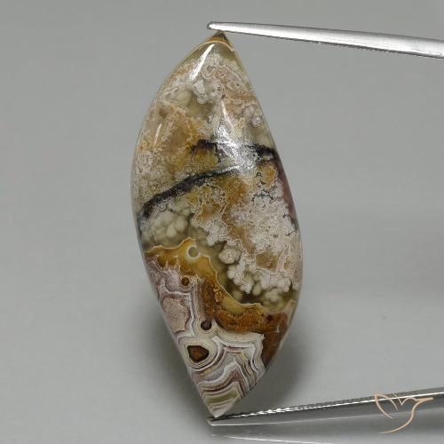 22.13ct طبيعي متعدد الألوان يشب أو جاسبر, فانسى, غير شفاف