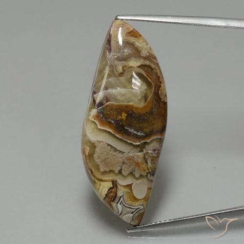 22.13ct طبيعي متعدد الألوان يشب أو جاسبر, فانسى, غير شفاف