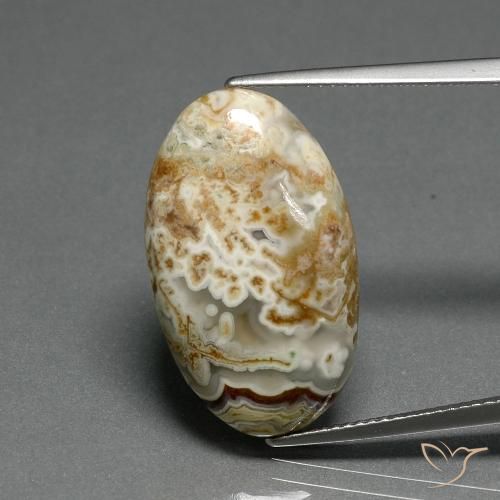 14.29ct طبيعي متعدد الألوان يشب أو جاسبر, بيضوي, غير شفاف