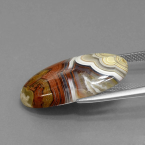 يشب أو جاسبر متعدد الألوان طبيعي، قصة بيضاوى، 13.94 قيراط، غير شفاف