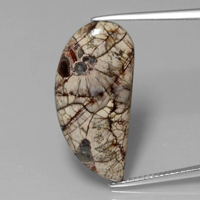 يشب أو جاسبر متعدد الألوان طبيعي، شكل خيالي، 8.64 قيراط، غير شفاف