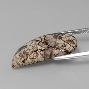 يشب أو جاسبر متعدد الألوان طبيعي، شكل خيالي، 8.64 قيراط، غير شفاف