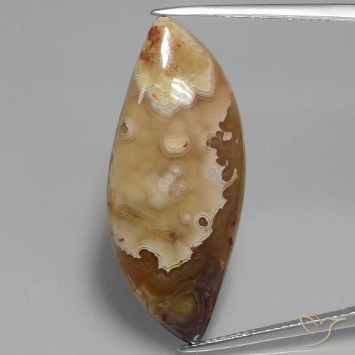 17.69ct طبيعي متعدد الألوان يشب أو جاسبر, فانسى, غير شفاف
